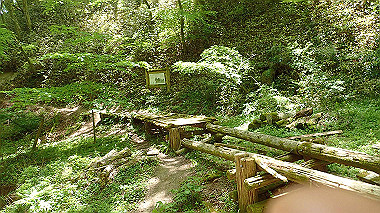 p5071382_thumb.jpg