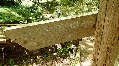 p5071383_thumb.jpg