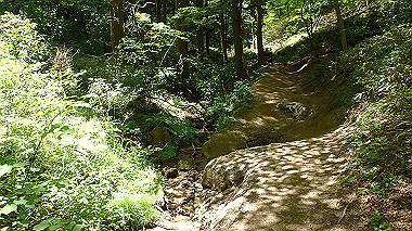 p5071386_thumb.jpg