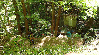 p5071390_thumb.jpg
