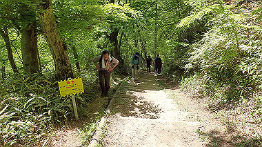 p5071393_thumb.jpg