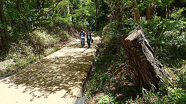 p5071395_thumb.jpg