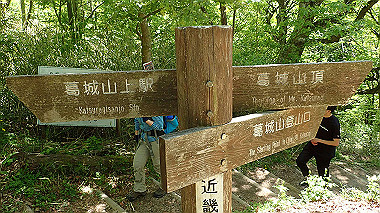 p5071398_thumb.jpg
