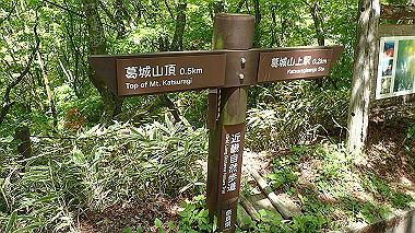 p5071399_thumb.jpg