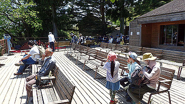 p5071401_thumb.jpg