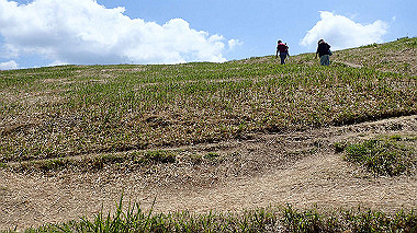 p5071409_thumb.jpg
