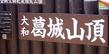 p5071413_thumb.jpg