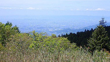 p5071416_thumb.jpg