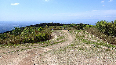 p5071418_thumb.jpg