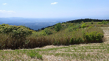 p5071419_thumb.jpg