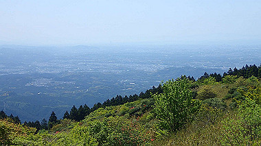 p5071420_thumb.jpg