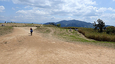 p5071424_thumb.jpg