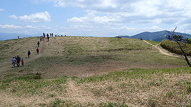 p5071425_thumb.jpg