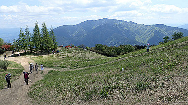 p5071428_thumb.jpg