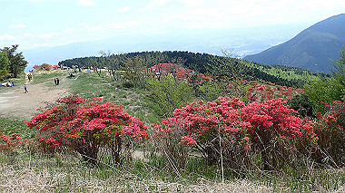 p5071433_thumb.jpg