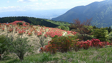 p5071435_thumb.jpg