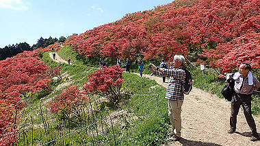 p5071453_thumb.jpg