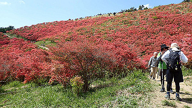 p5071456_thumb.jpg