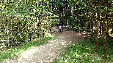 p5071463_thumb.jpg