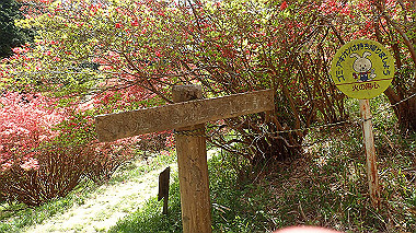 p5071465_thumb.jpg