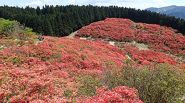 p5071471_thumb.jpg