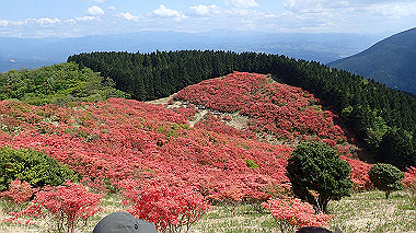 p5071475_thumb.jpg