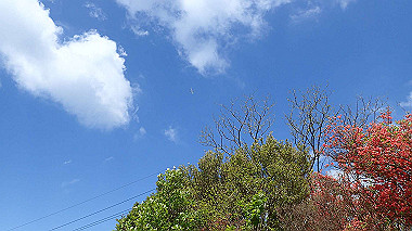 p5071482_thumb.jpg