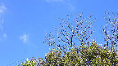 p5071483_thumb.jpg