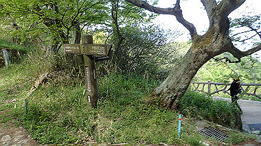 p5071490_thumb.jpg