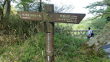 p5071491_thumb.jpg