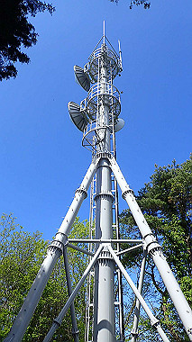 p5071492_thumb.jpg