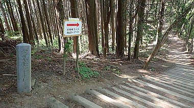 p5071496_thumb.jpg