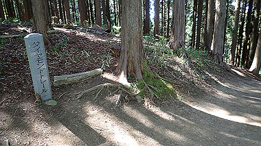 p5071499_thumb.jpg