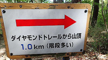 p5071502_thumb.jpg