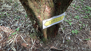 p5071504_thumb.jpg