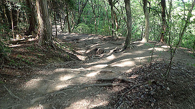 p5071505_thumb.jpg