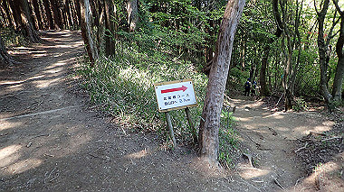 p5071507_thumb.jpg