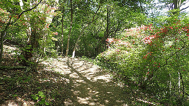 p5071509_thumb.jpg