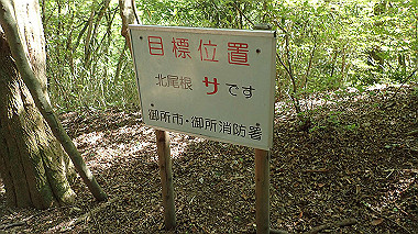 p5071510_thumb.jpg