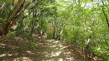 p5071511_thumb.jpg
