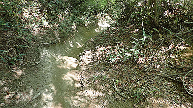 p5071512_thumb.jpg
