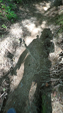 p5071516_thumb.jpg
