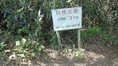 p5071517_thumb.jpg