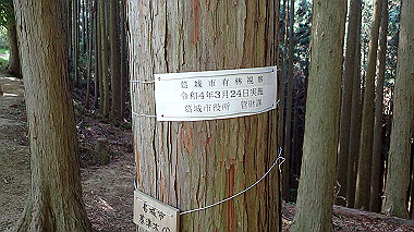 p5071519_thumb.jpg