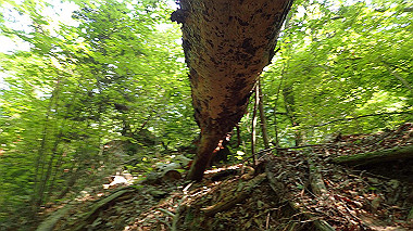 p5071522_thumb.jpg