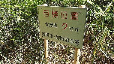 p5071525_thumb.jpg