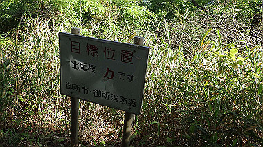 p5071526_thumb.jpg