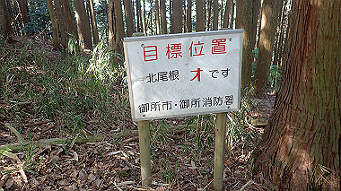 p5071529_thumb.jpg