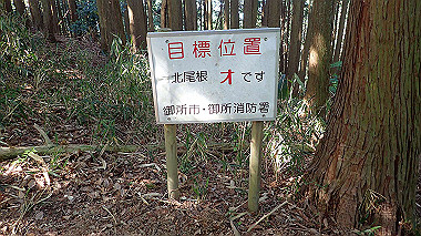 p5071531_thumb.jpg