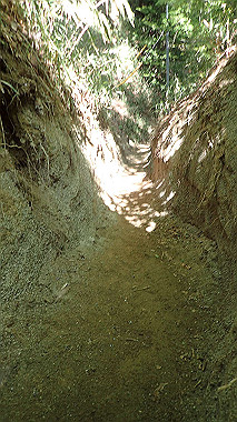 p5071535_thumb.jpg
